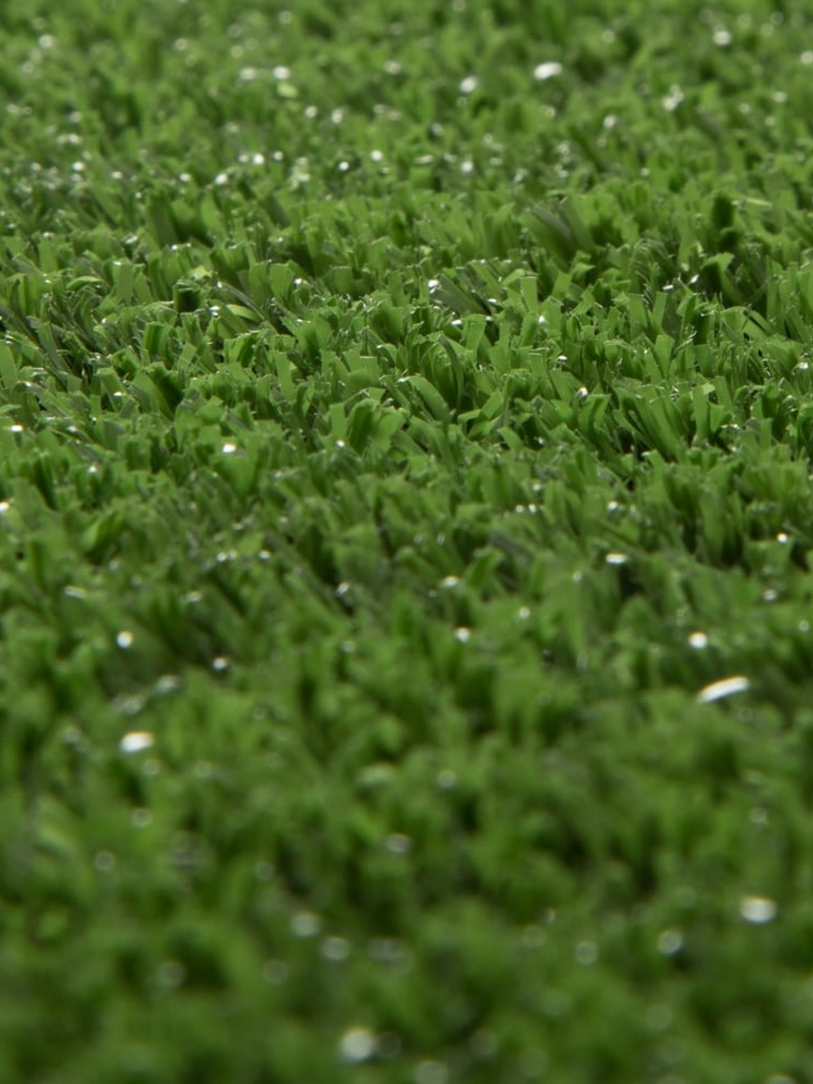 Artificial grass Terrace (20 m2) 2