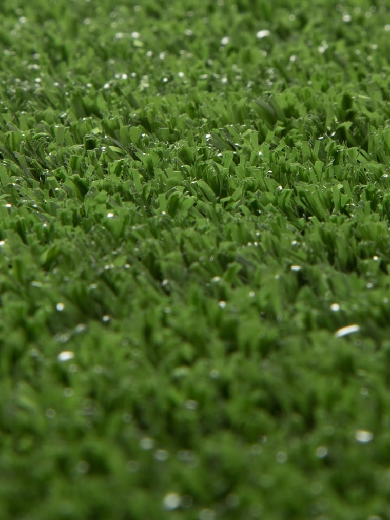 Artificial grass Terrace (20 m2) 2