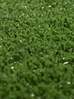 Artificial grass Terrace (20 m2) - vignette 2