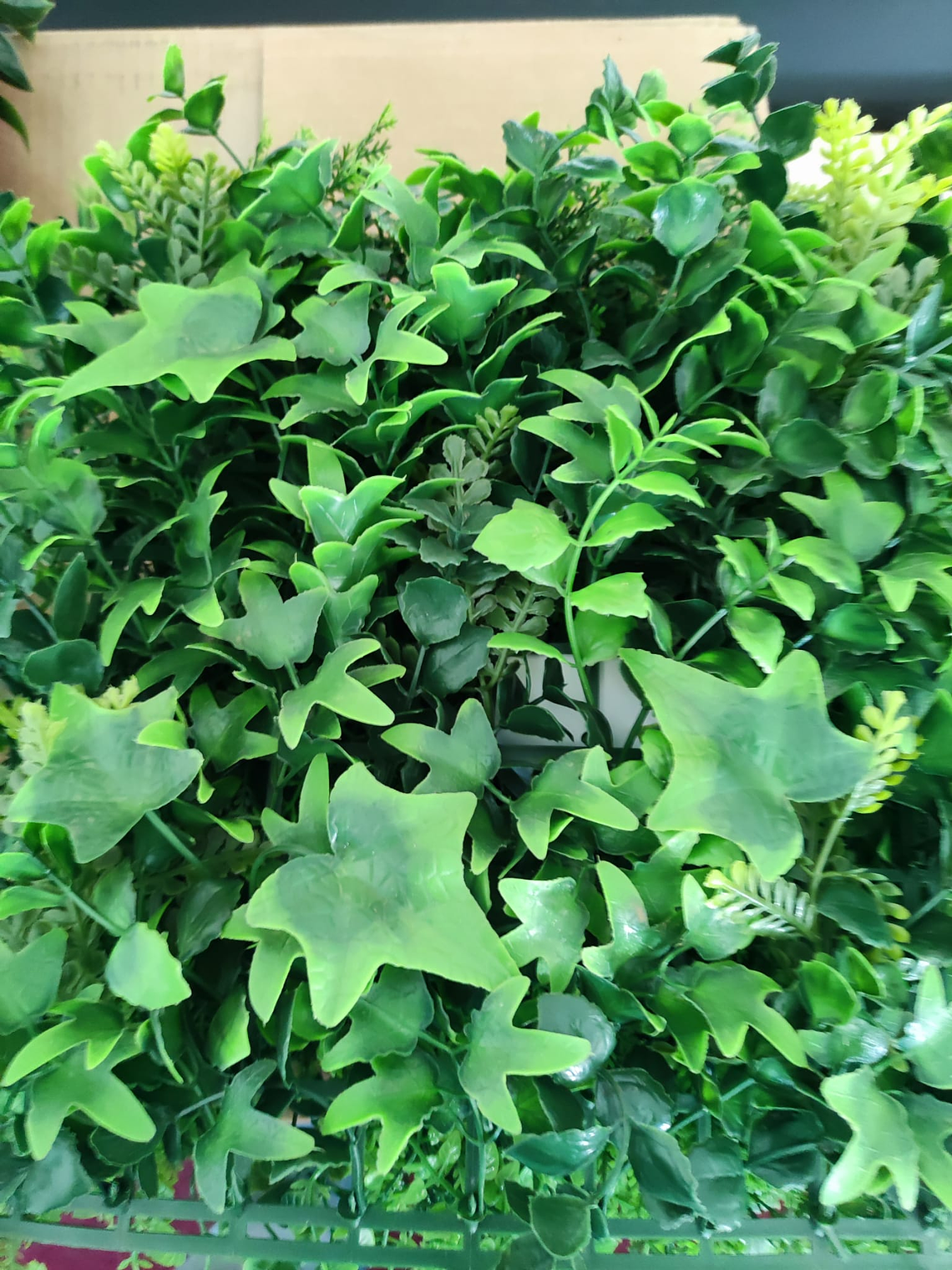 Jardín vertical tropical 2