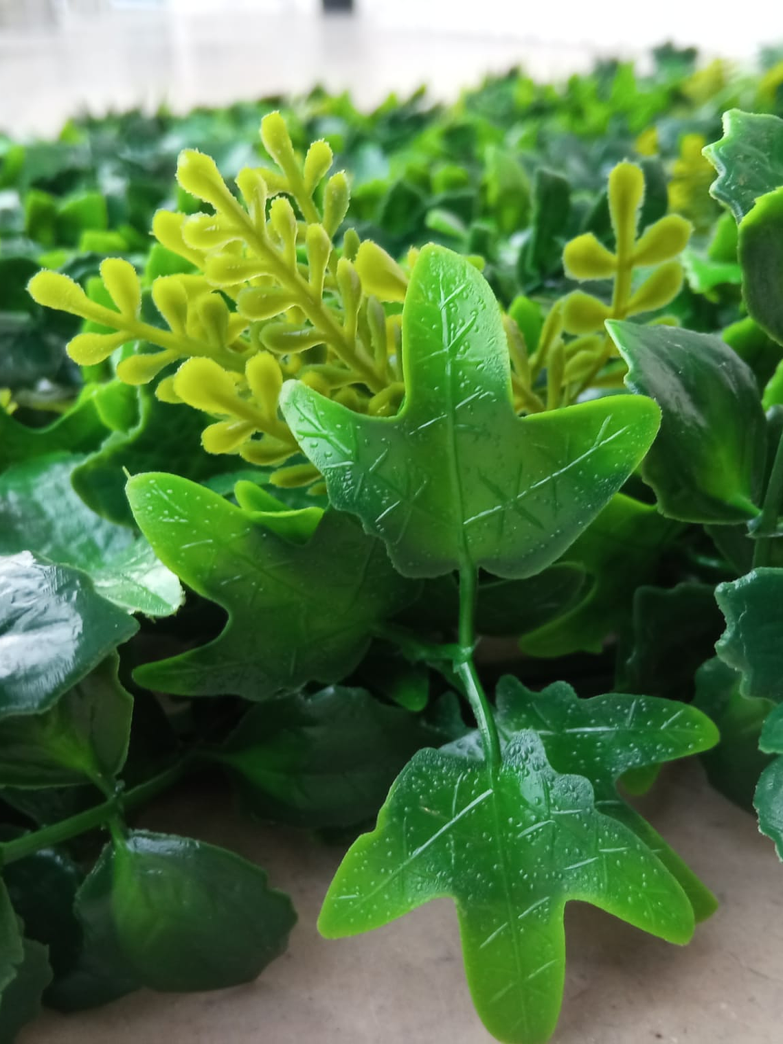 Jardín vertical tropical 1