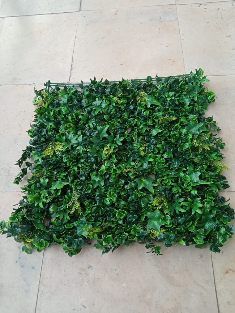 Jardín vertical tropical 6