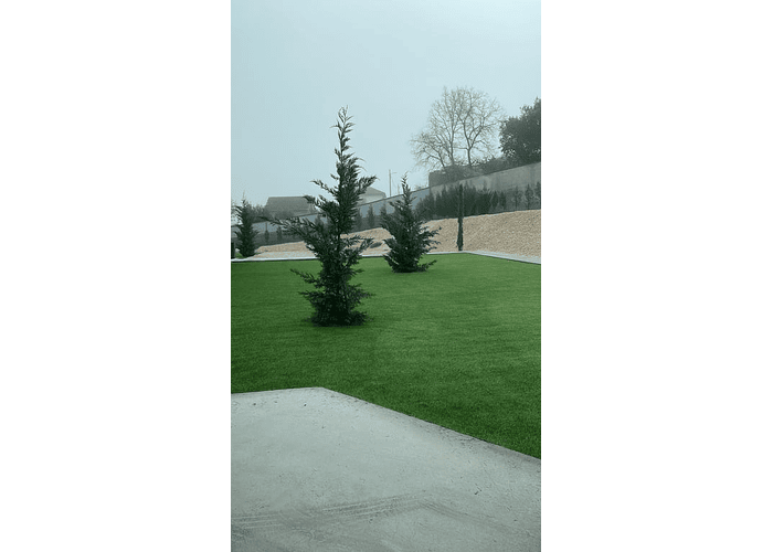 DECORATIVE ARTIFICIAL GRASS - SACORE 25 (ROLL 10 M2)