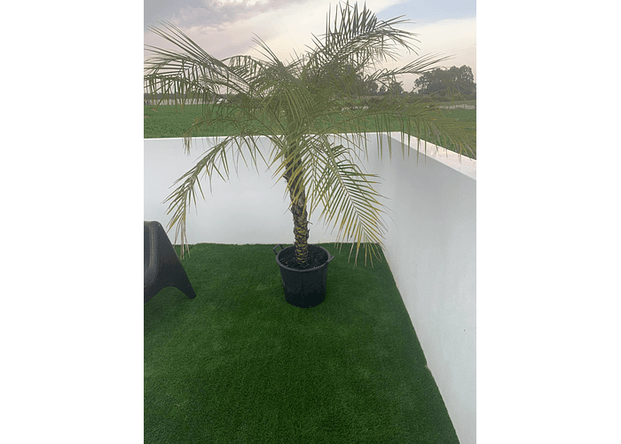 Relva Artificial LUXO - Creta 37 (Rolo 10 m2)