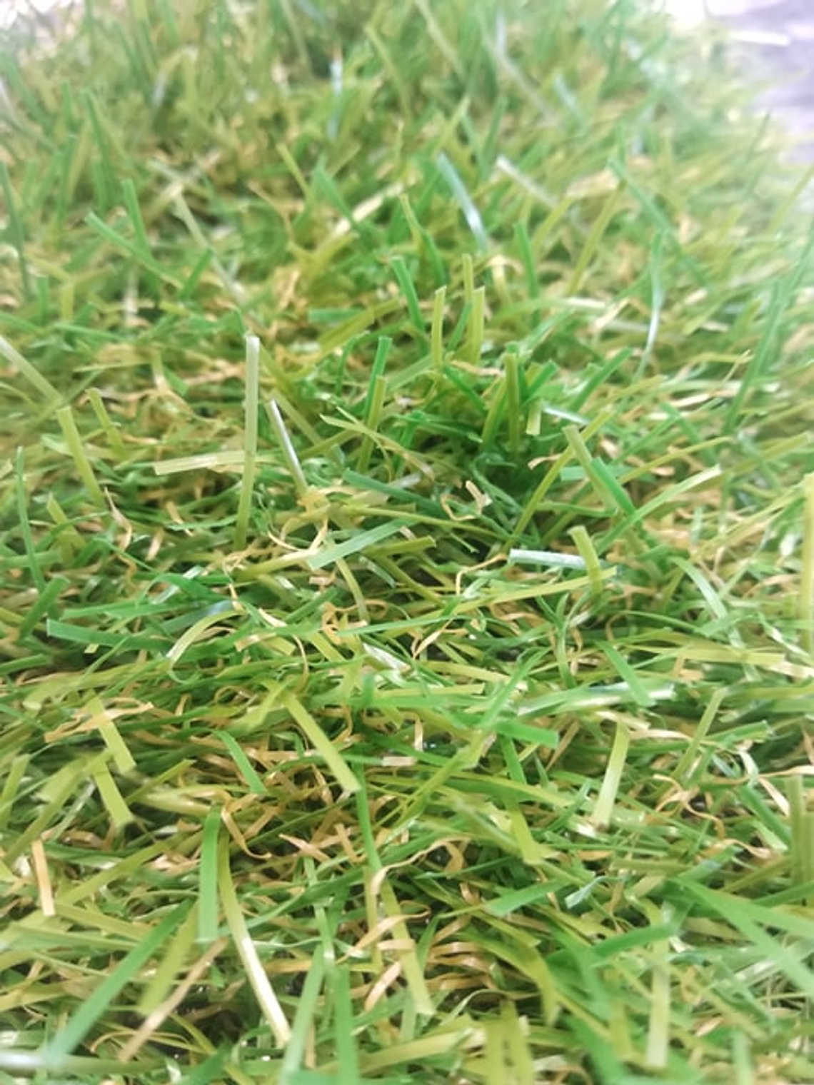 RELVA ARTIFICIAL DECORATIVA - SACORE 20 (ROLO 20 M2) 4