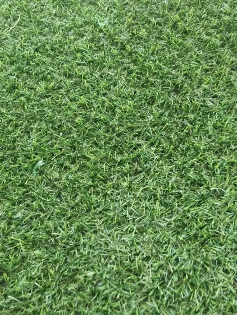 RELVA ARTIFICIAL DECORATIVA - SACORE 20 (ROLO 20 M2) 6