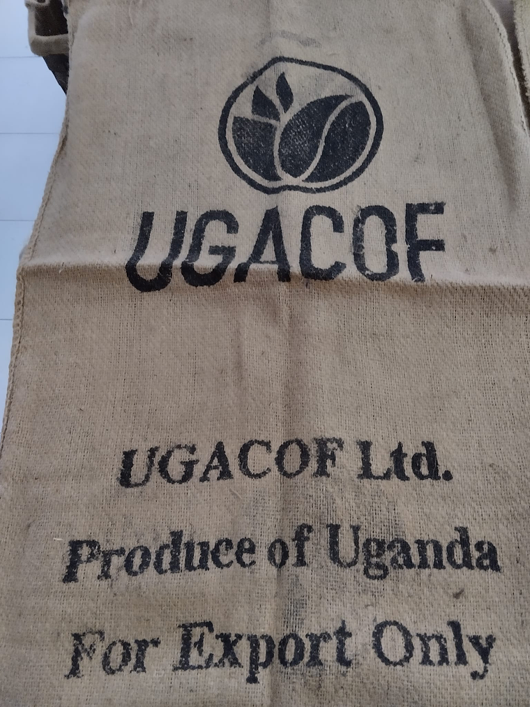 Sacos de serapilheira origens - Juta 6