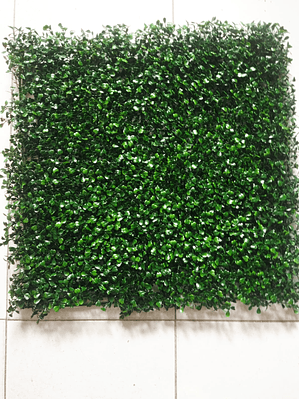 Jardim Vertical Boxwood