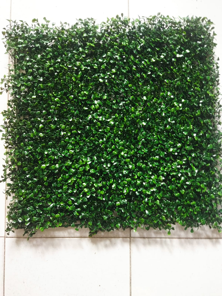 Boxwood Vertical Garden 1