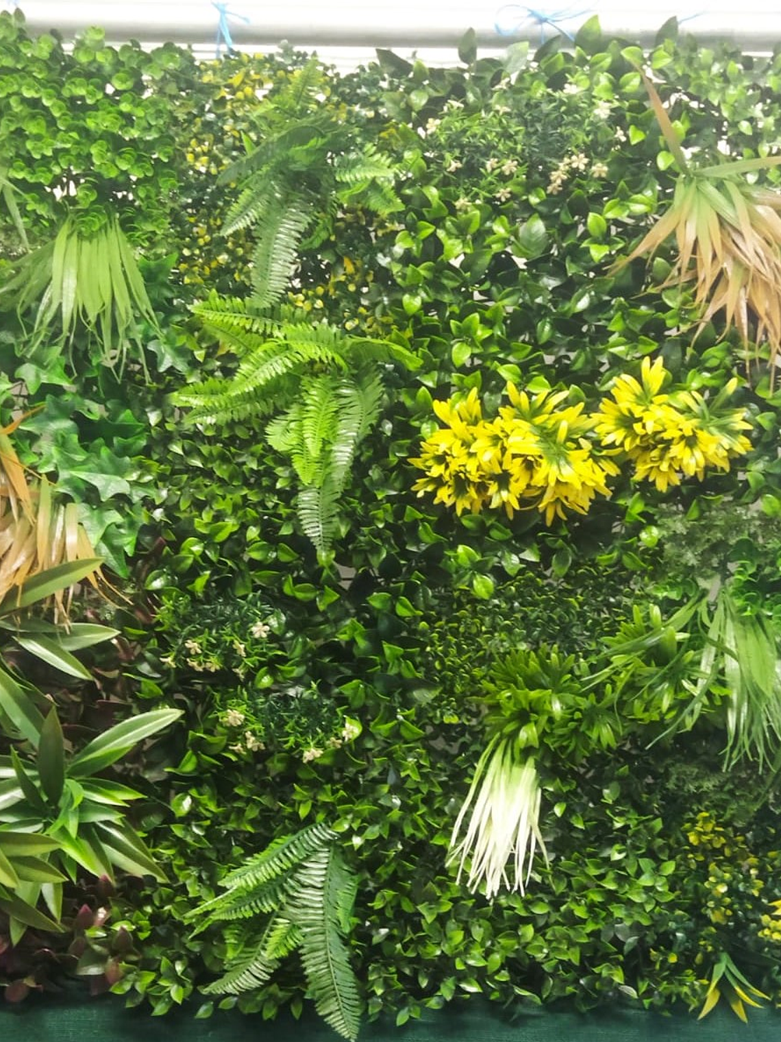 Spring Mix Vertical Garden 1