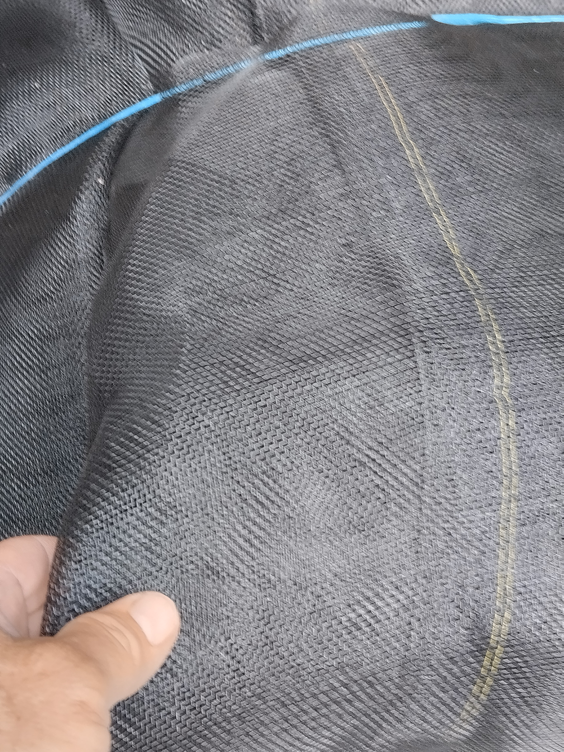 Rede Apanha de Azeitona 6