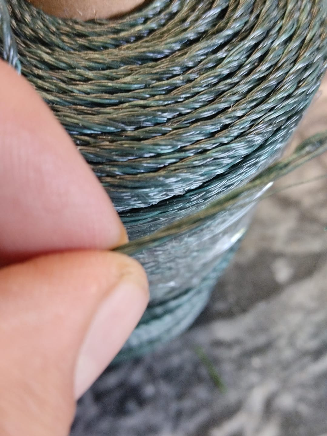 PT1 Alignment Wire 1