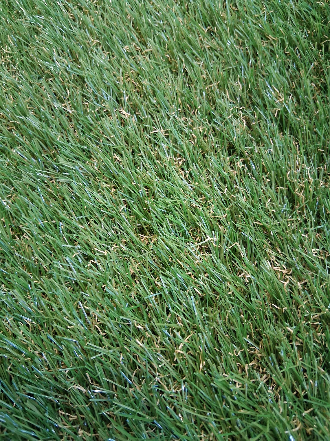 Relva Artificial Flora- 43mm 1