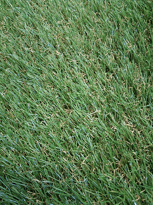 Relva Artificial Flora- 43mm