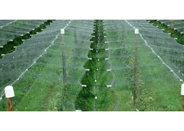 Rede Anti-Granizo 1.5 x 200m – Branca (50 g/m², com Proteção UV)