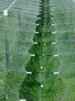 Rede Anti-Granizo 1.5 x 200m – Branca (50 g/m², com Proteção UV)