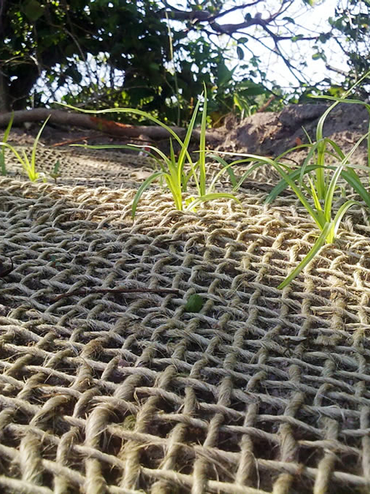 Rede de Juta / Geotêxtil de Juta – Natural e Versátil 3