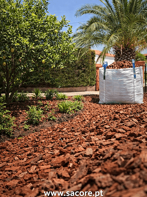 Casca de Pinheiro 15/25 em saco e em big bag- várias medidas
