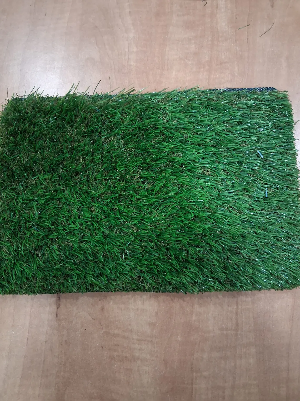 DECORATIVE ARTIFICIAL GRASS - SACORE 20 (20 M2 ROLL) 3