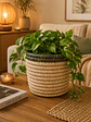 Vaso cor natural com barra em verde - thumbnail 1
