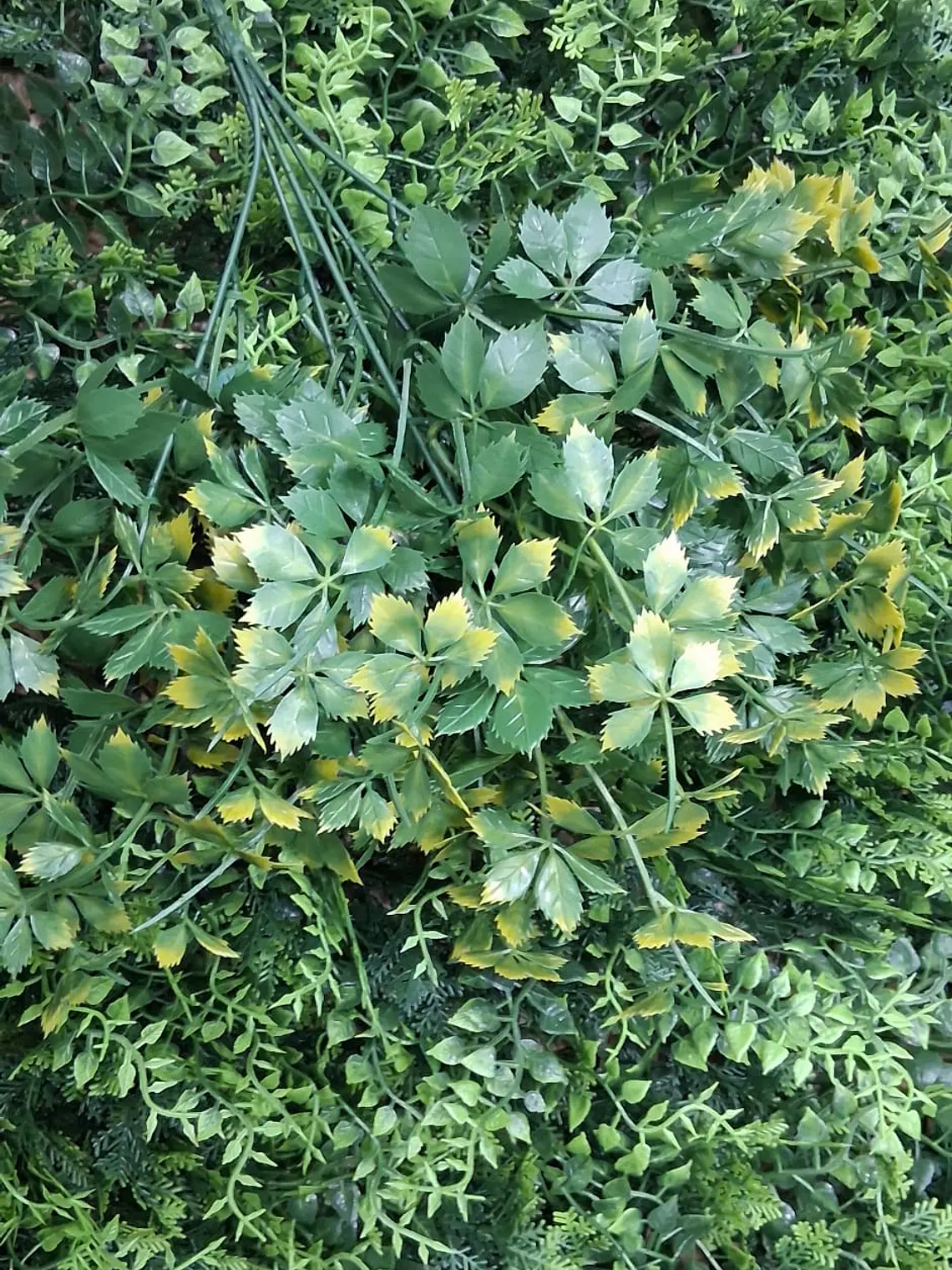 Planta Artificial para Jardim Vertical-Erva da Imortalidade/Jiaogulan 2