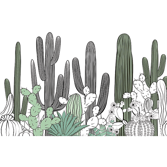 Cactus