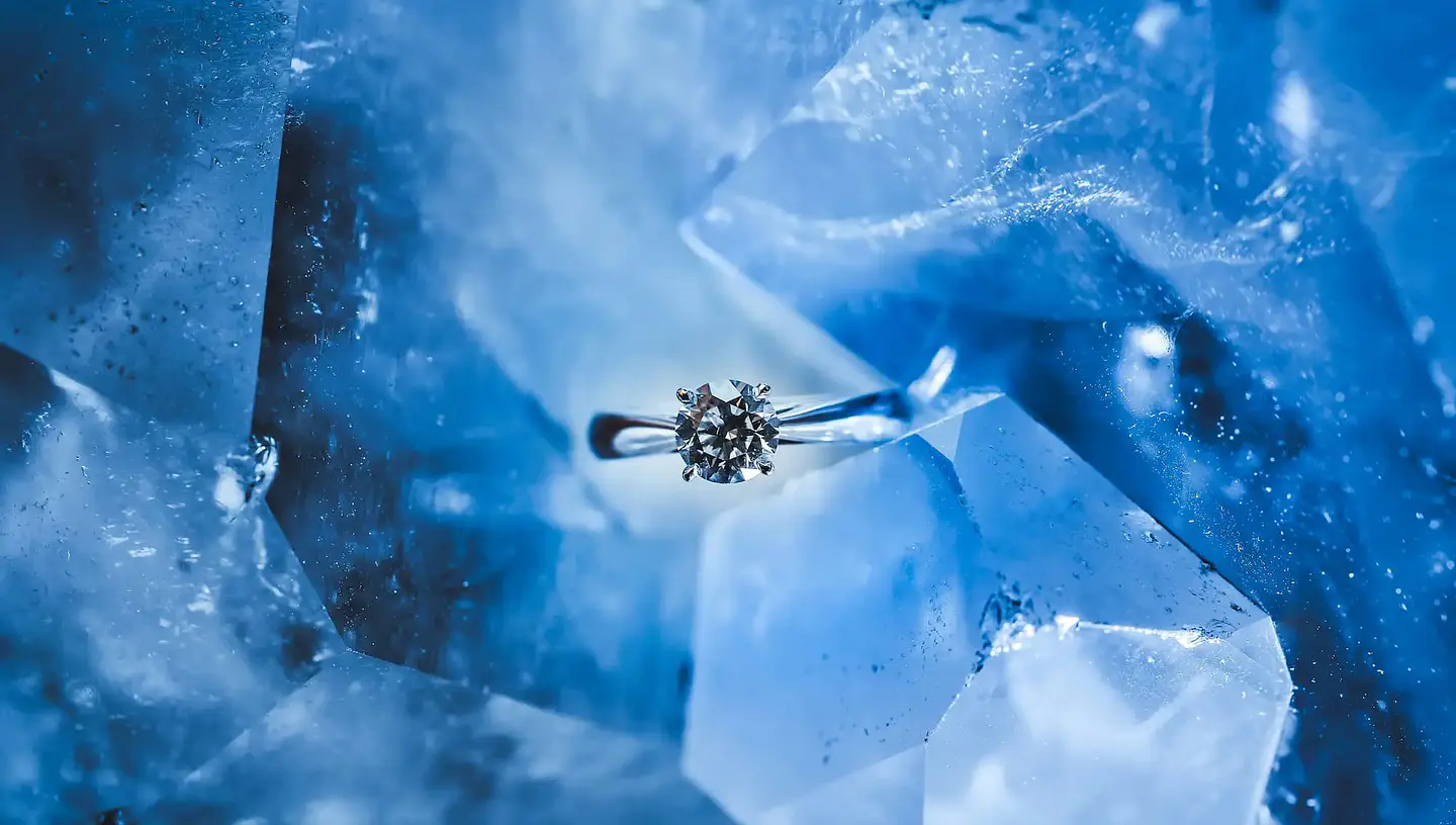 Timeless Elegance