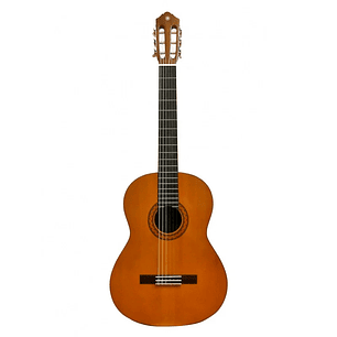 Guitarra Acústica Yamaha C40