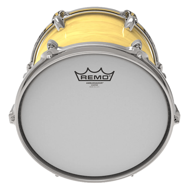 Parche Tom Remo Ambassador Coated 16" BA-0116-00