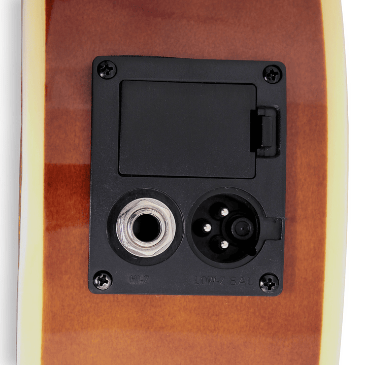 Guitarra Electroacústica Metal Vizcaya FRA95SCET Black 5