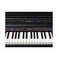 Piano Digital Roland RP701, Contemporary Black - Miniatura 3