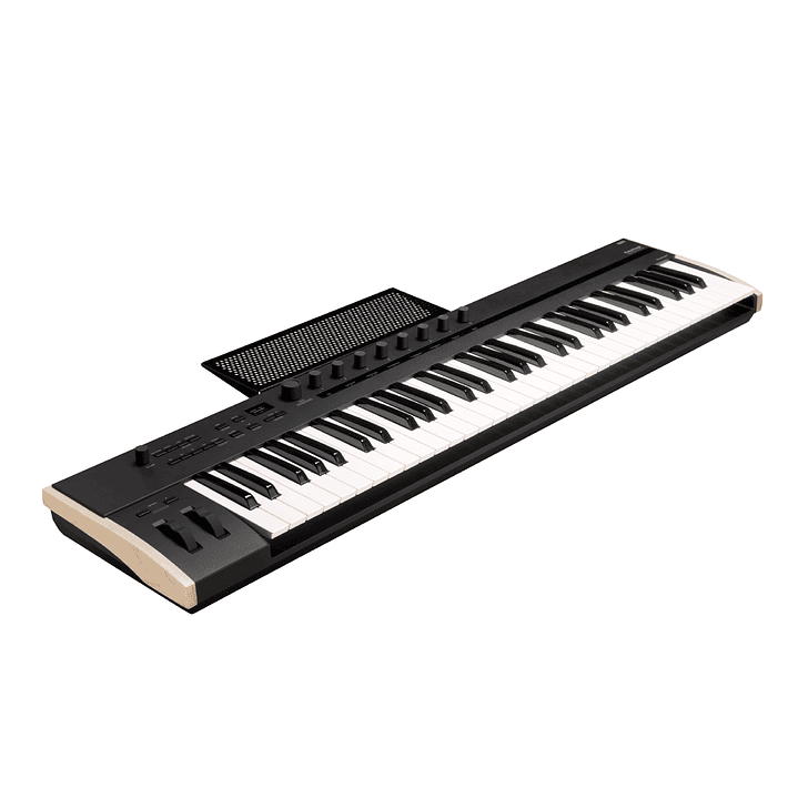 Controlador Midi Korg Keystage 61 teclas 5