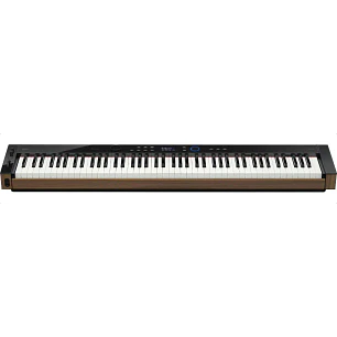 Piano Digital de 88 Teclas Casio PX-S6000BK