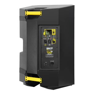 Caja Activa SKP DX15 Plus 15