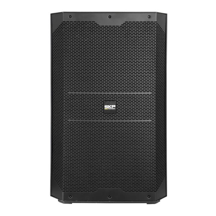 Caja Activa SKP DX15 Plus 15