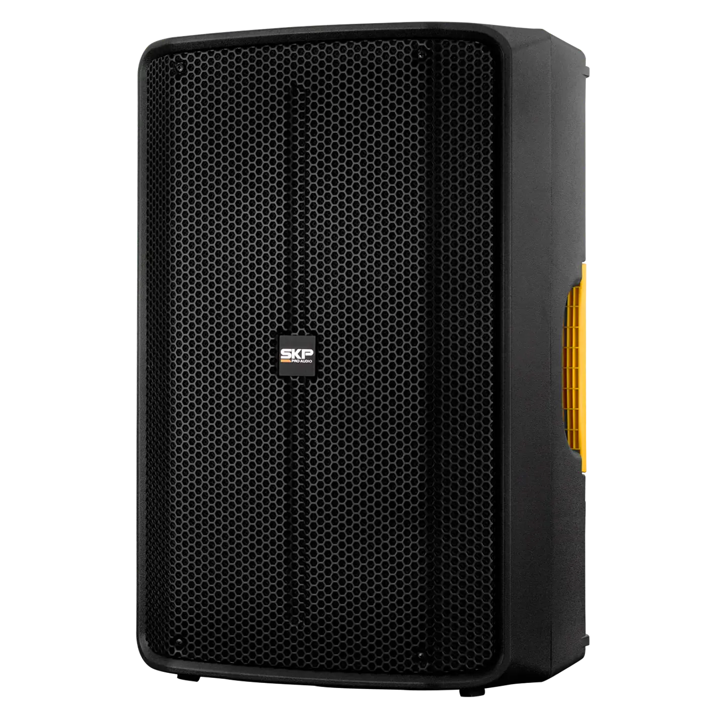 Caja Activa SKP Q10 MK2 10