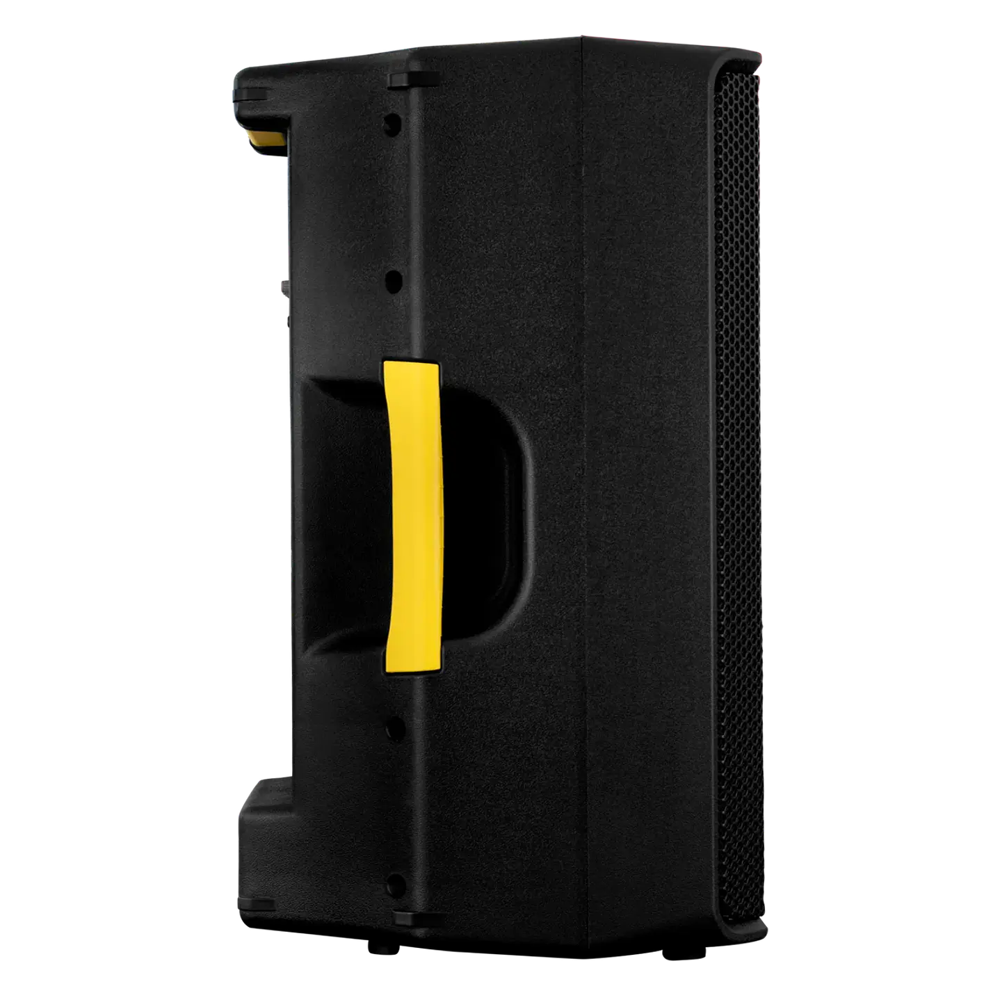 Caja Activa SKP Q12 MK2 12