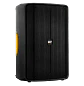 Caja Activa SKP Q12 MK2 12