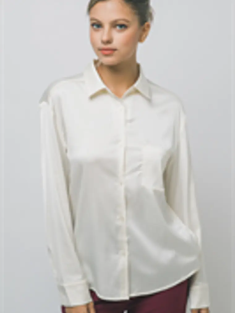 CAMISA DE SEDA 1