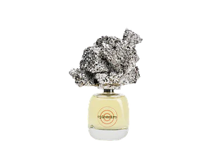 PERFUME DELIRE DE VOYAGE EPICENTRO UNISEX EDP 100 ML