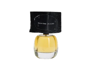 PERFUME DELIRE DE VOYAGE NOTRE DAME 14/09/2019 UNISEX EDP 100 ML