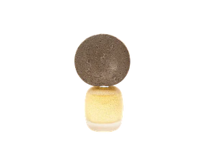 PERFUME DELIRE DE VOYAGE HAEC DIES UNISEX EDP 100 ML