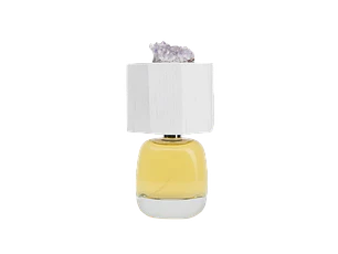 PERFUME DELIRE DE VOYAGE LUX VISIONARIA UNISEX EDP 100 ML