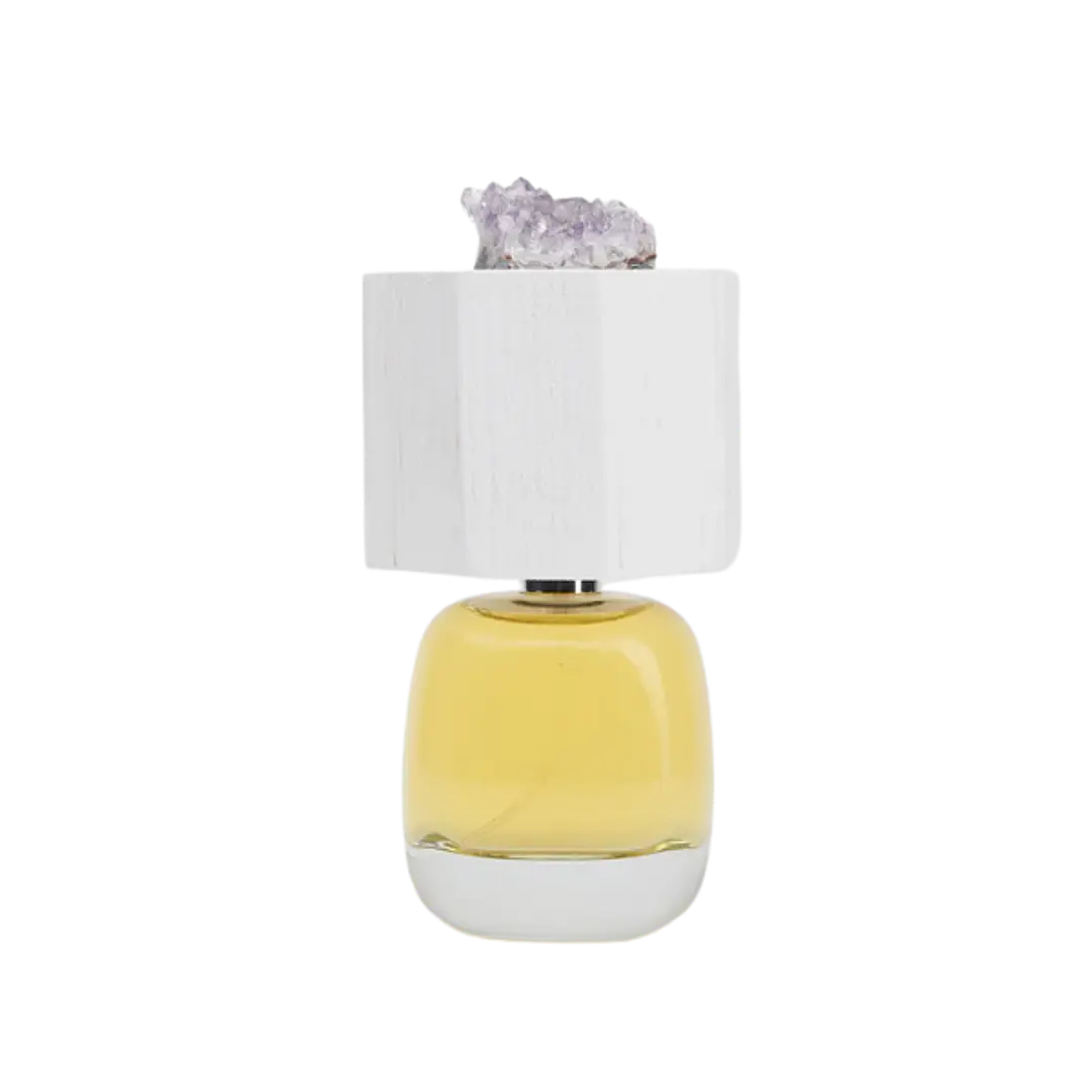 PERFUME DELIRE DE VOYAGE LUX VISIONARIA UNISEX EDP 100 ML 1