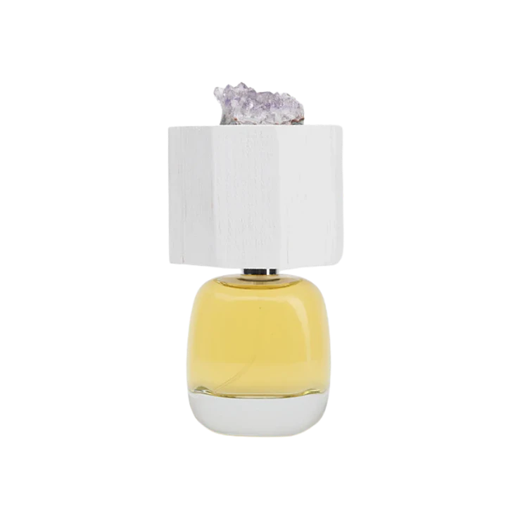 PERFUME DELIRE DE VOYAGE LUX VISIONARIA UNISEX EDP 100 ML 1