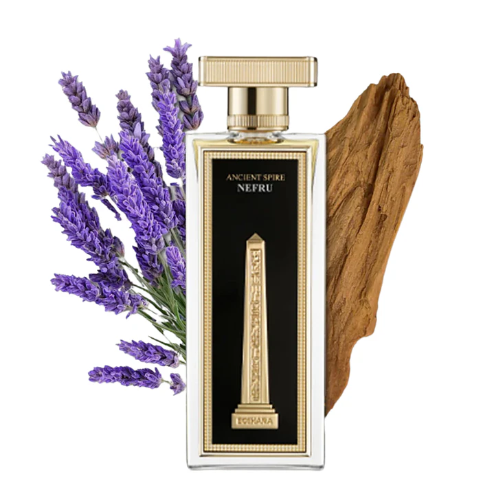 PERFUME BOSHARA ANCIENTSPIRE UNISEX EDP 80 ML 2