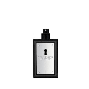 Perfume Secret Hombre Edt 100 ml Tester