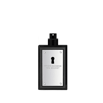 Perfume Secret Hombre Edt 100 Ml Tester