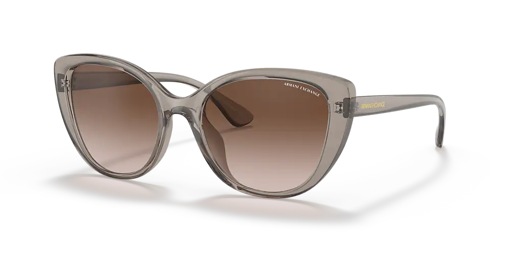 LENTE DE SOL INYECTADO DAMA ARMANI EXCHANGE 0AX4111SU 82401354