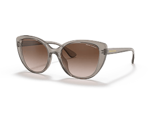 LENTE DE SOL INYECTADO DAMA ARMANI EXCHANGE 0AX4111SU 82401354